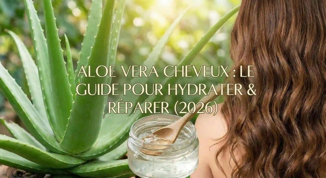 Aloe Vera Cheveux : Le Guide pour Hydrater & Réparer (2026)
